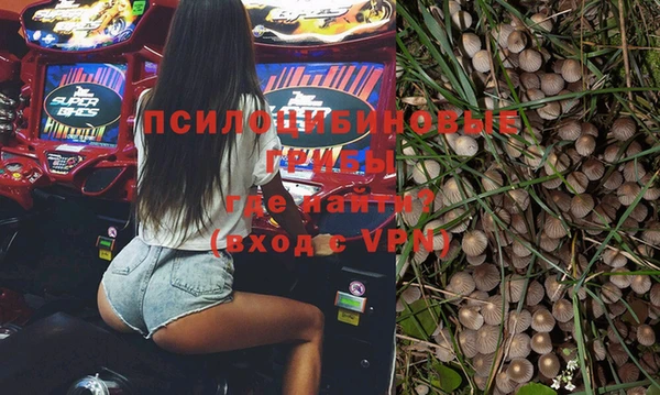 мескалин Касимов